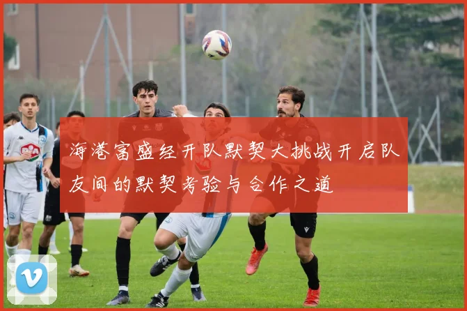 海港富盛经开队默契大挑战开启队友间的默契考验与合作之道